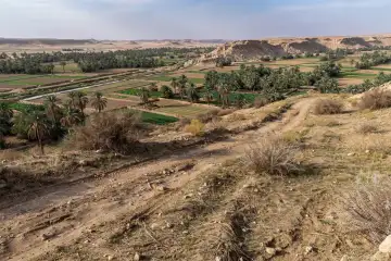 مقر سري لمليشيا الحوثي في العراق بإدارة إيرانية