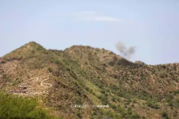 تعز.. صمود أسطوري يحبط الهجمات الحوثية الكثيفة بجبل هان
