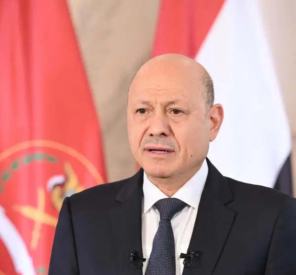 العليمي يثني على موقف مصر الداعم للسعودية واليمن